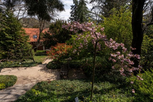 Pintér-kert Arborétum