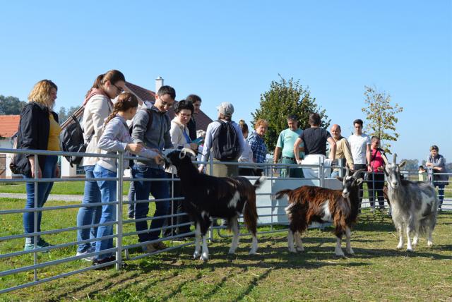 Hagyományos gazdálkodás tanösvény
