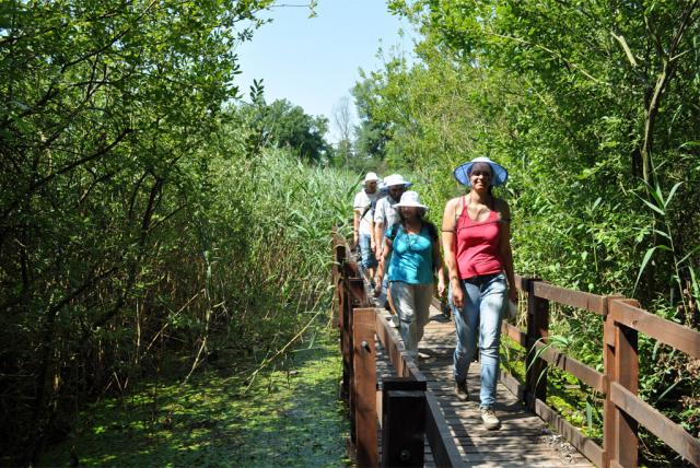 Ős-Dráva tanösvény