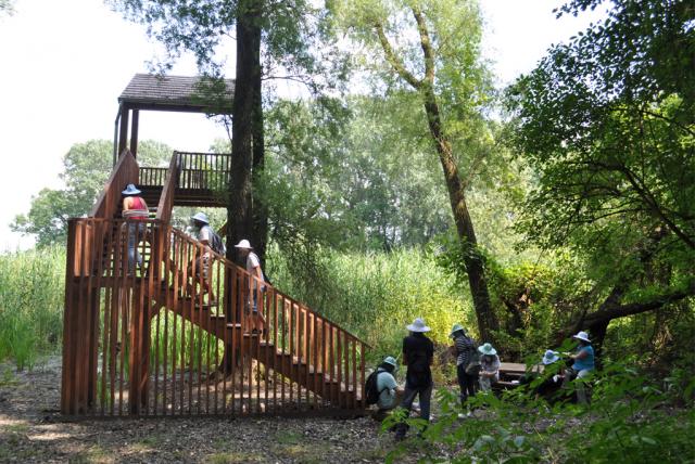 Dráva élővilága tanösvény