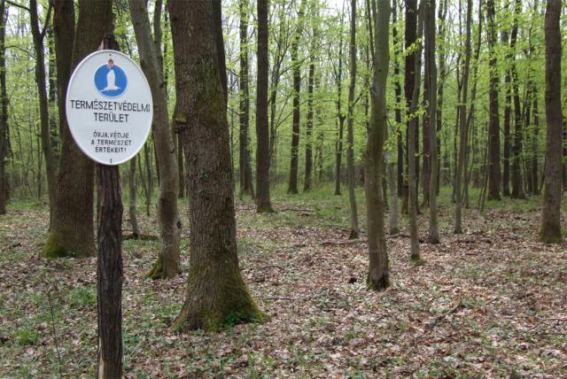 Bükkhát Természetvédelmi Terület