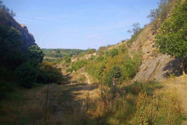 Villányi Templom-hegy