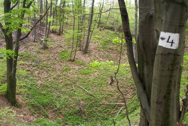 Denevér E-tanösvény